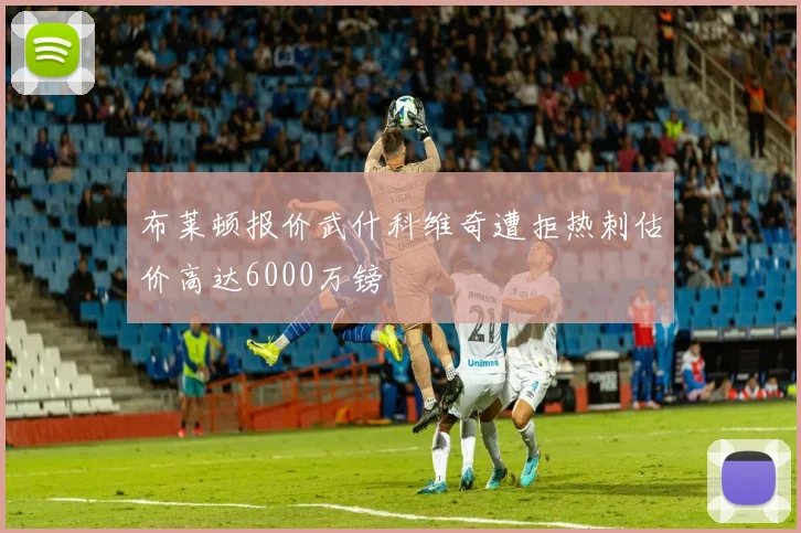 布莱顿报价武什科维奇遭拒热刺估价高达6000万镑